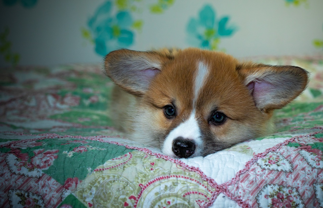 99exch Review: How India’s Emerging Exchange Platform Is Transforming Digital Finance